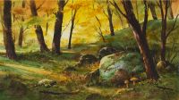 15- Le boulder du Lac Beauchamp
